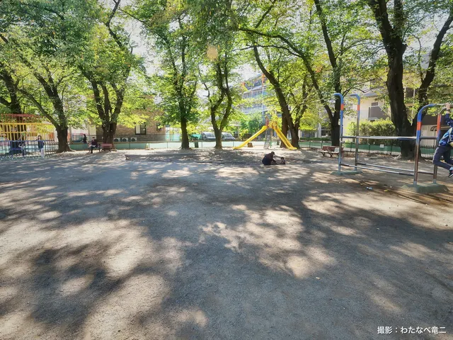 北割公園の木かげ