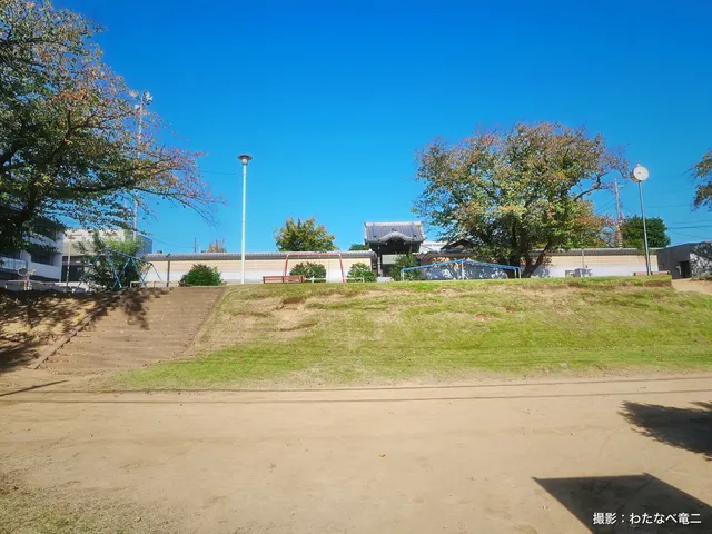 浜崎公園の芝生の広場