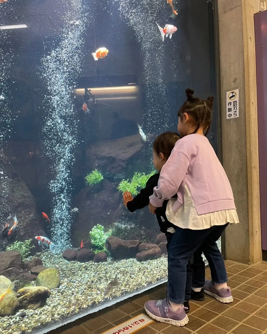本日は、家族デー❤👨‍👩‍👧‍👦